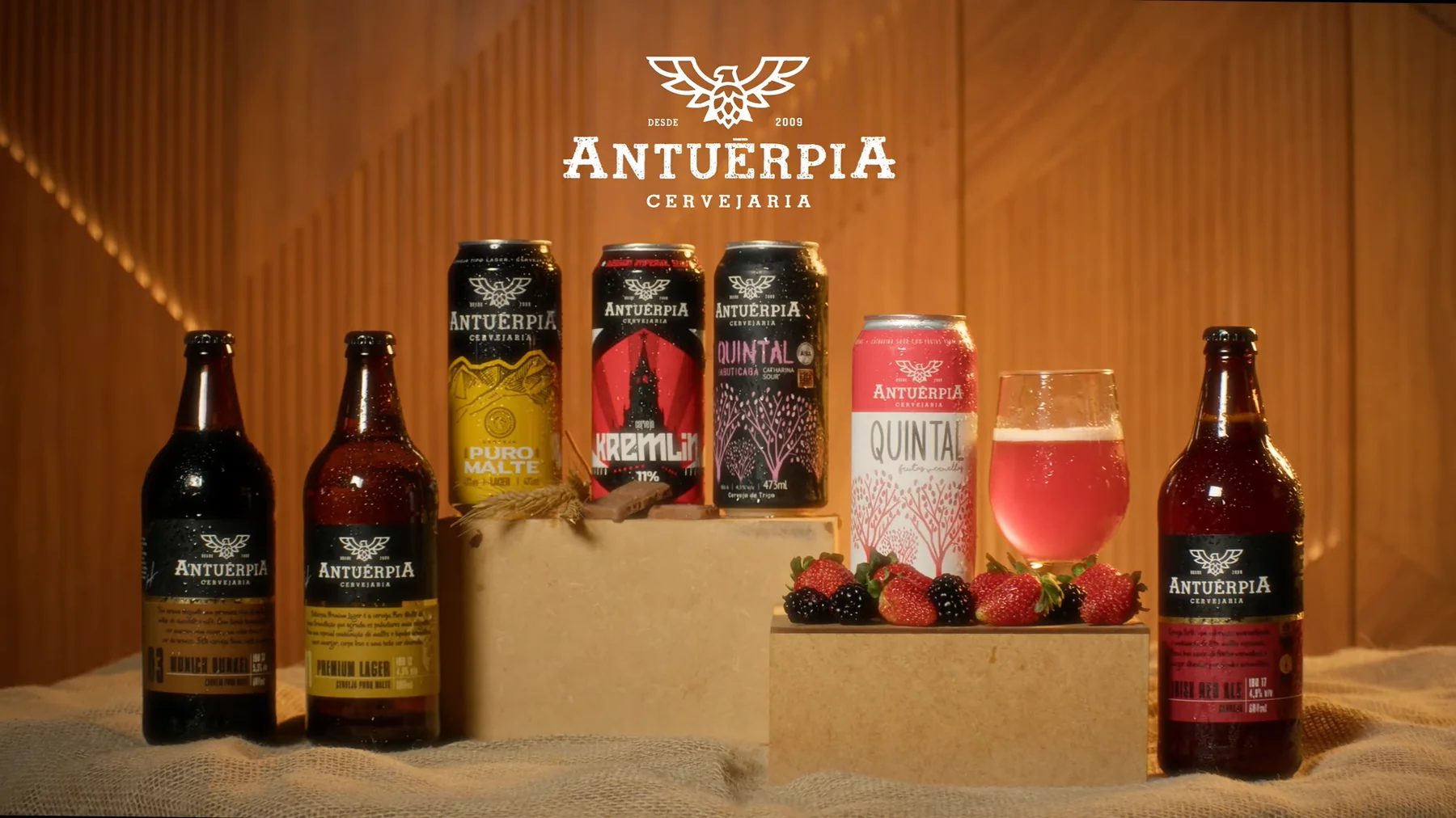 Case ANTUÉRPIA